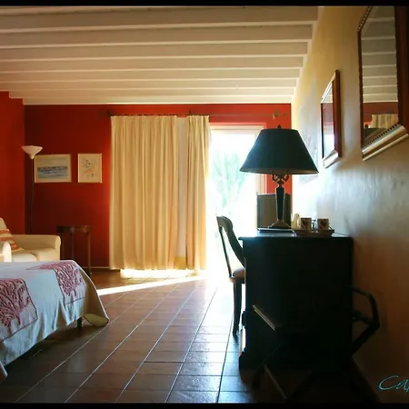 Country Capo Nieddu *