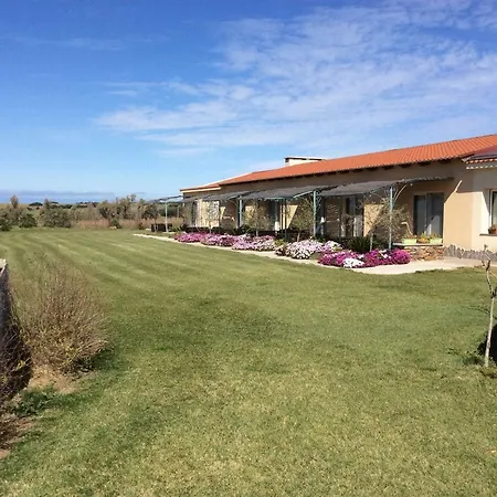 Farm stay Country Capo Nieddu *