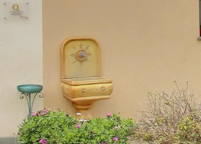 Country Capo Nieddu *