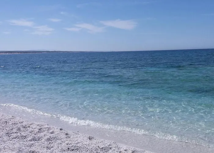 Farm stay Country Capo Nieddu *